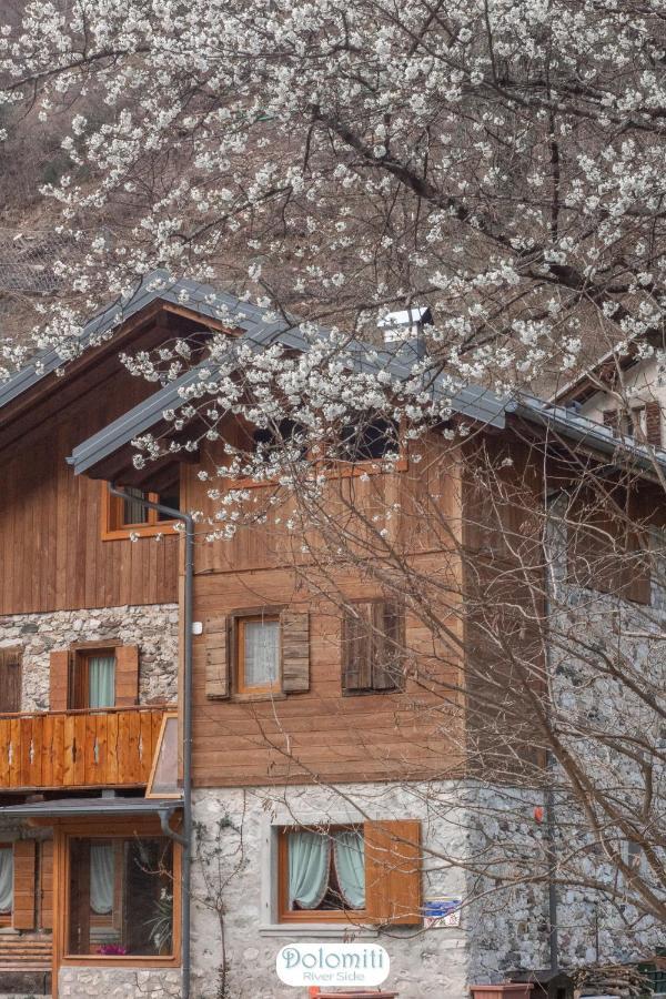 Dolomiti Riverside Hotel Perarolo di Cadore Exterior foto